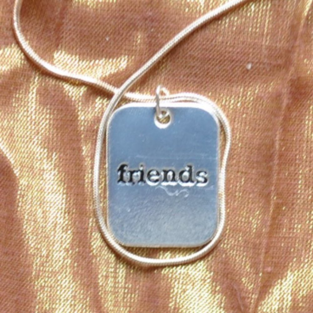 😻 friends pendant with 925 silver necklace (3048)